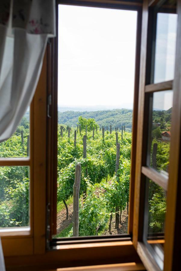 Villa Botanica Mirkovec Zewnętrze zdjęcie